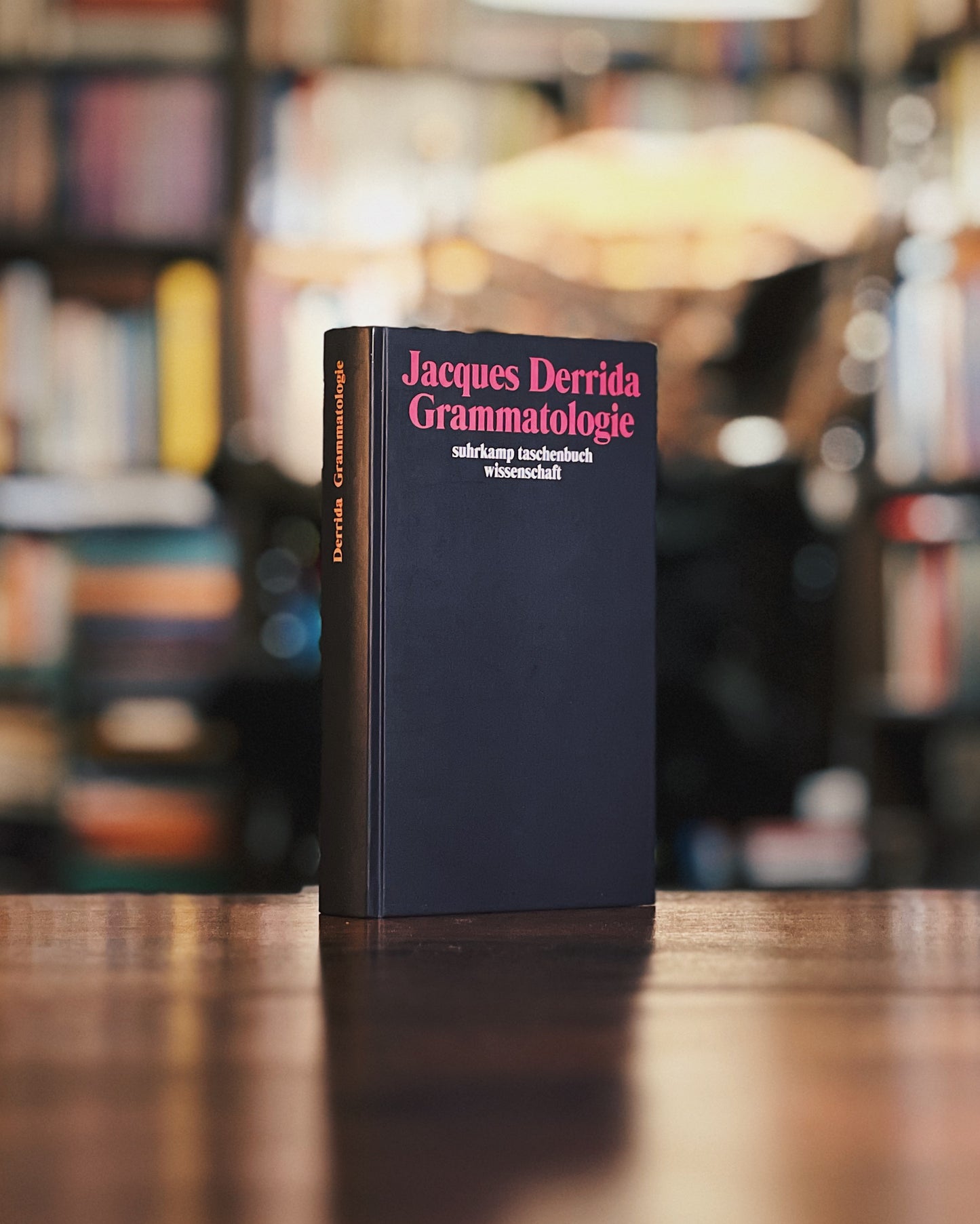Grammatologie, Jacques Derrida (Sonderausgabe zum 30jährigen bestehen der Reihe)