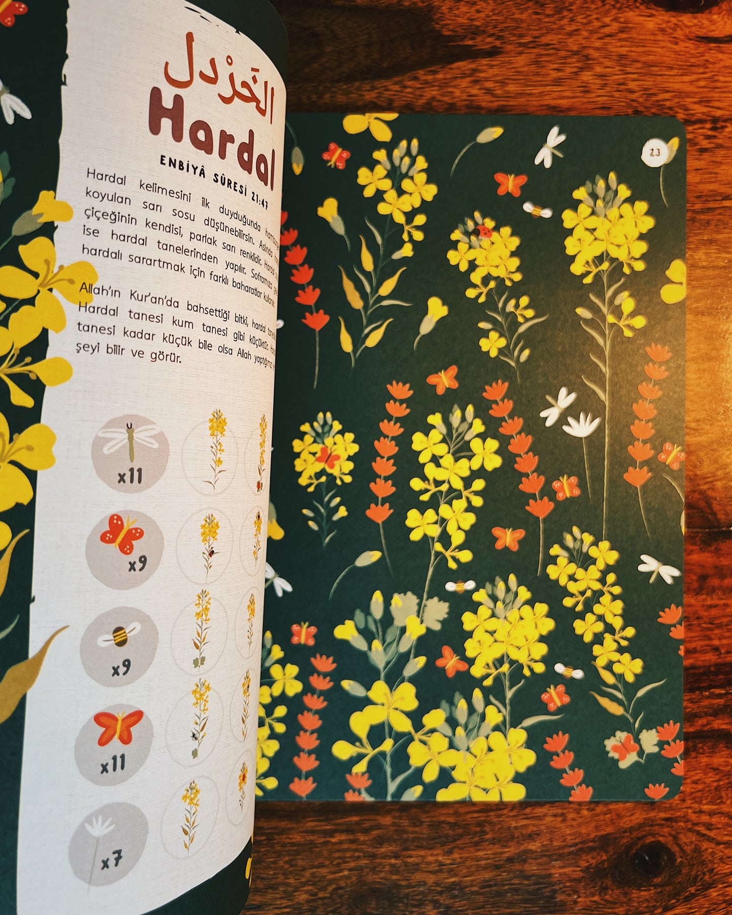 Kuran’daki Bitkiler, Jenny Molendyk Divleli (Resimleyen: Güliz Gerdan)