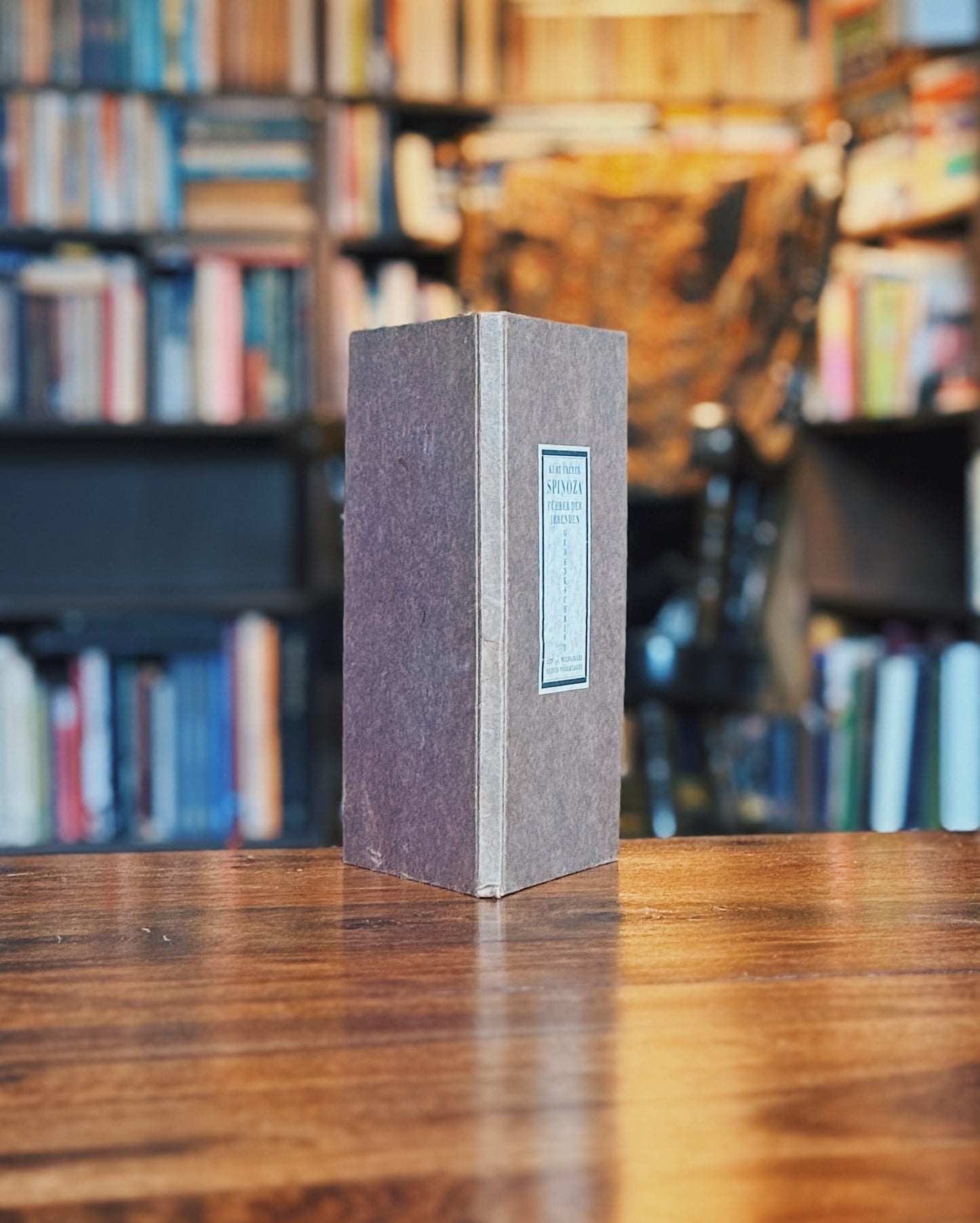 Spinoza - Führer der Irrenden, Kurt Freyer (Gedenkschrift anlässlich der 250. Wiederkehr des Todestages)