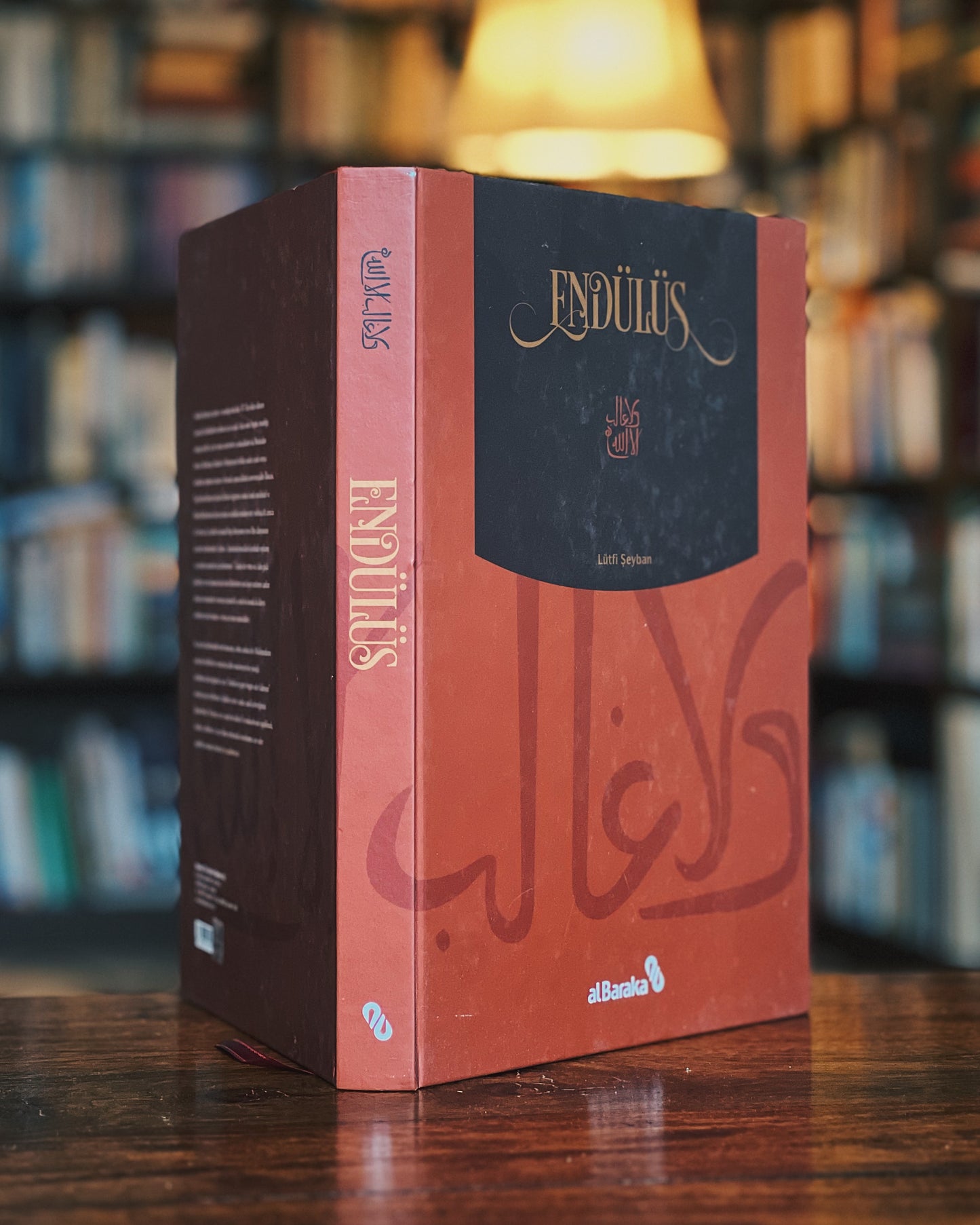 Endülüs, Lütfi Şeyban