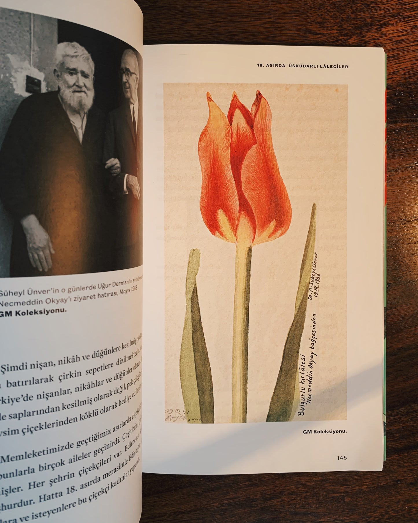 Lâlezâr-ı Süheylî - Tarihimizde Lâle Merakı, A. Süheyl Ünver (Haz. Ömer Faruk Şerifoğlu)