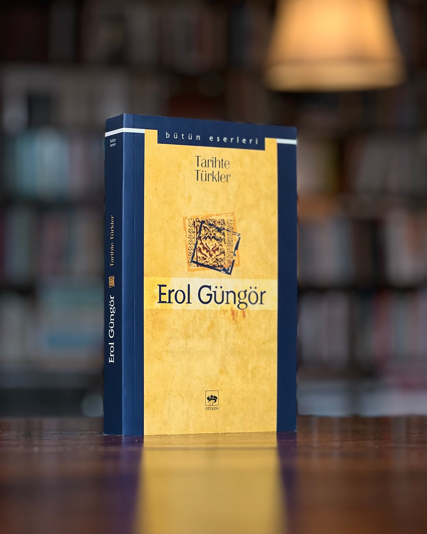 Tarihte Türkler, Erol Güngör