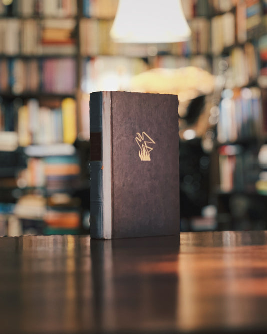 Die Stadt in der Wüste (Citadelle), Antoine De Saint-Exupéry