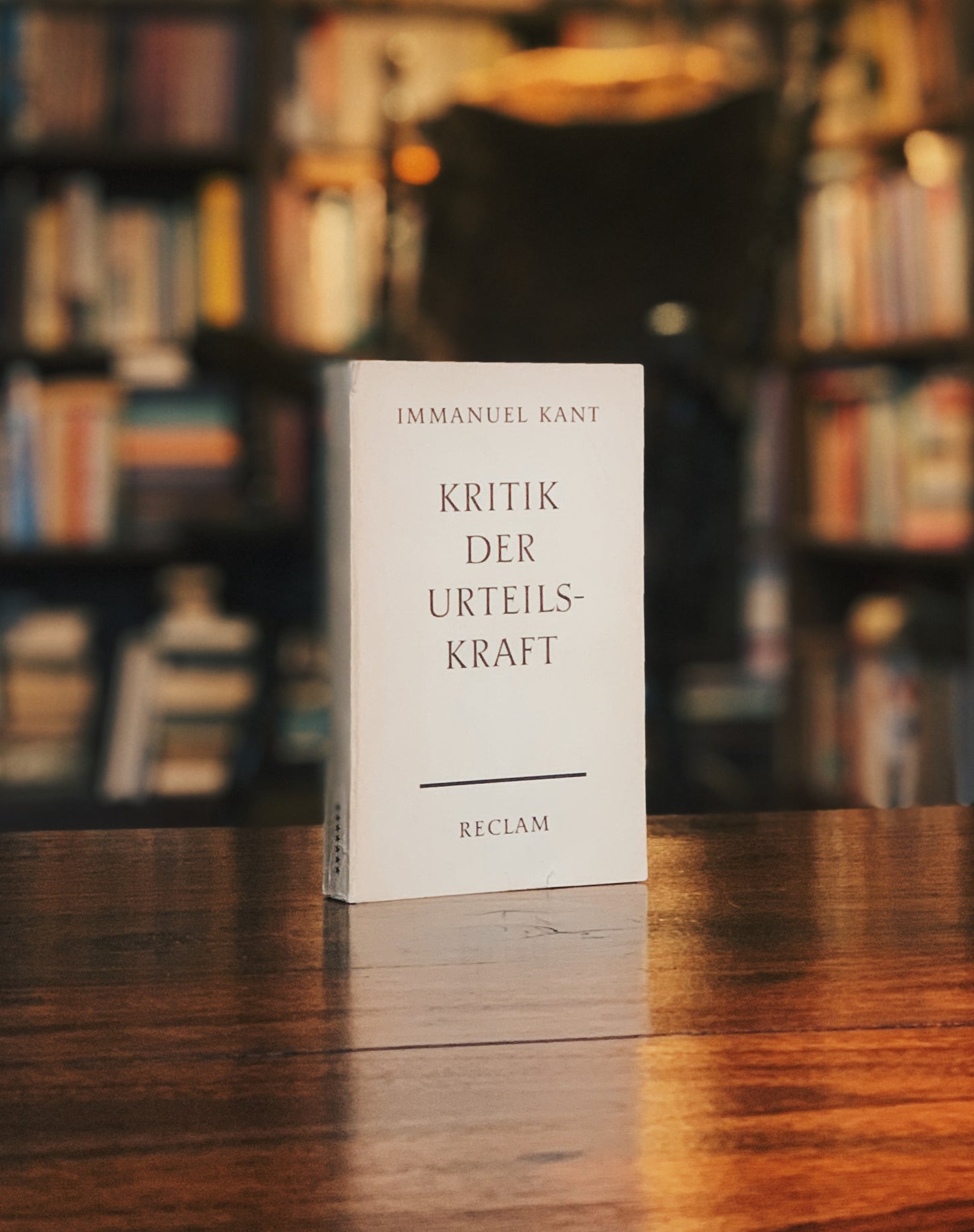 Kritik der Urteilskraft, İmmanuel Kant