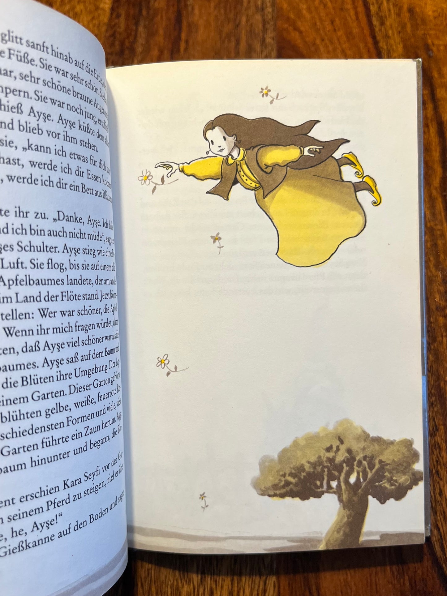 Die verliebte Wolke ~ ein Märchen - Nâzım Hikmet (illustrationen: Selçuk Demirel)