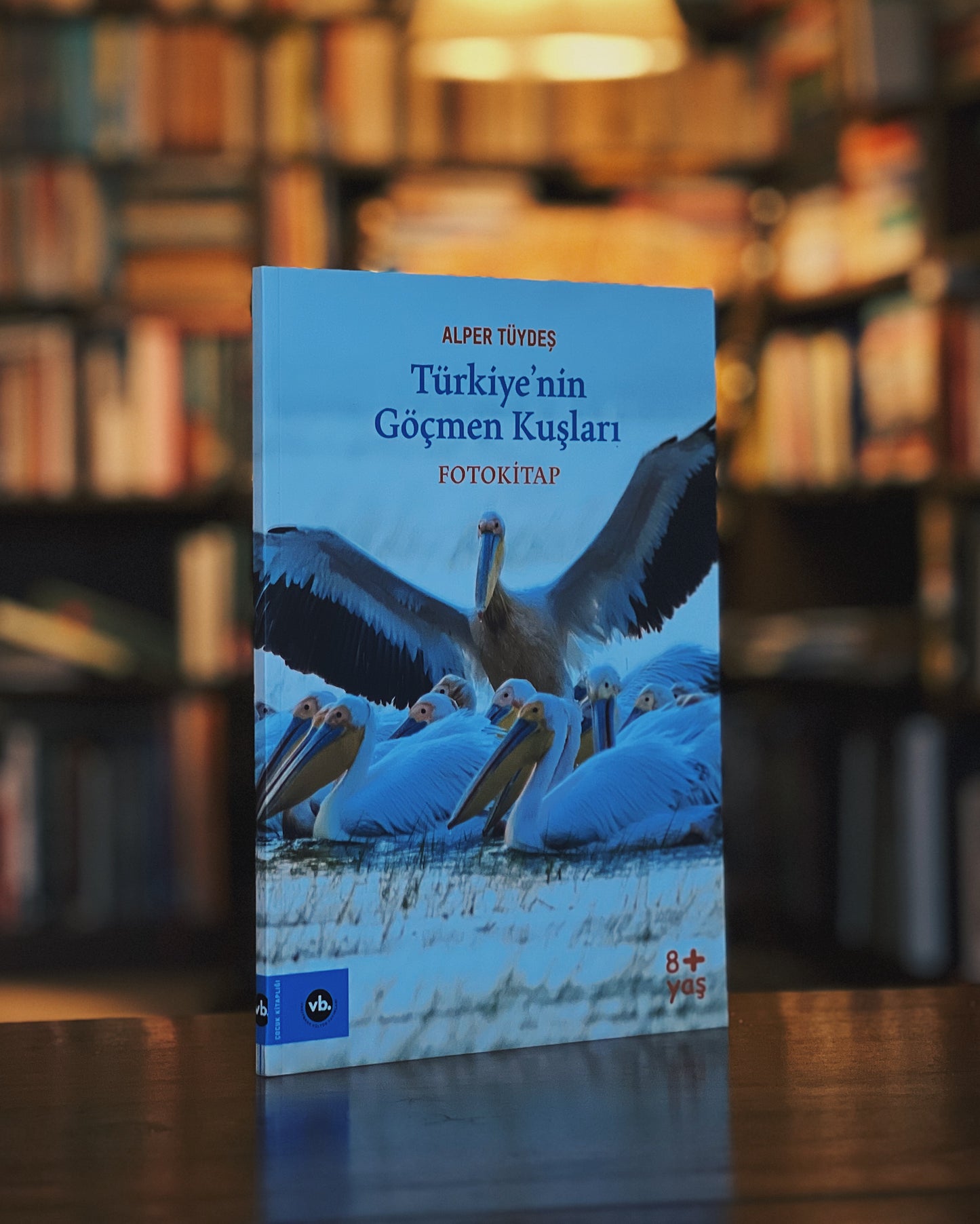 Türkiyenin Göçmen Kuşları - Fotokitap - Alper Tüydeş