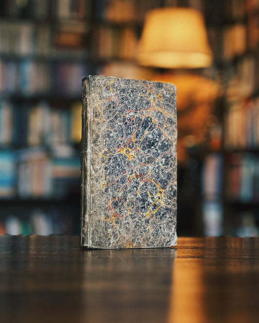 Bruchstücke aus den Schriften eines Gefangenen, Friedrich Seybold