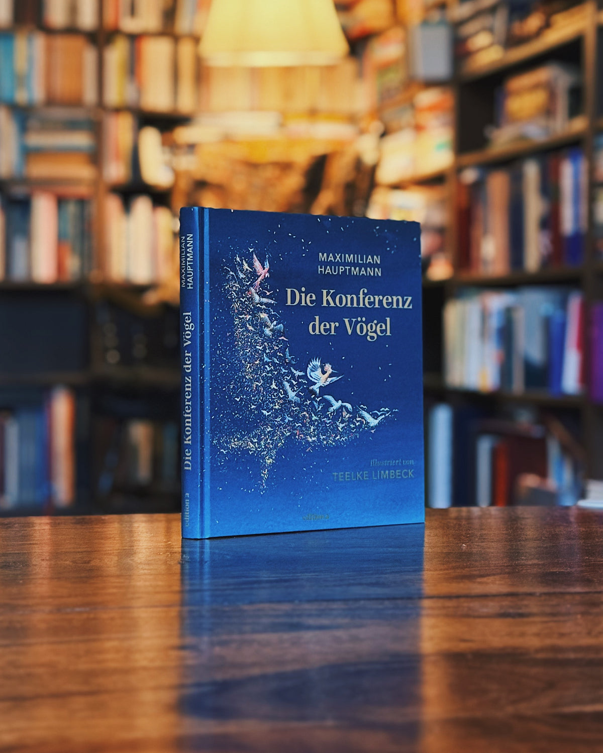 Die Konferenz der Vögel, Maximilian Hauptmann (Illustriert: Teelke Limbeck)