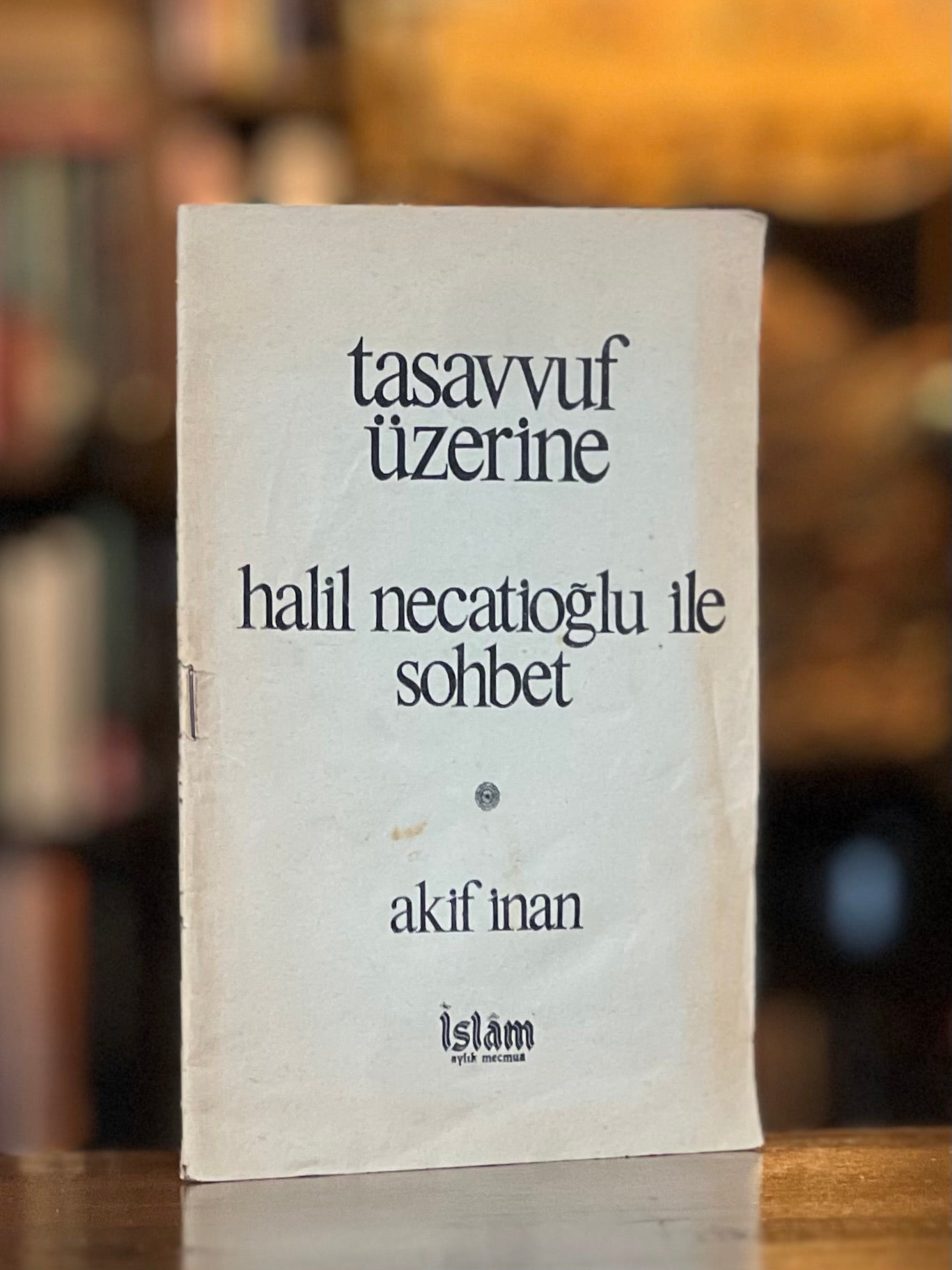 Tasavvuf Üzerine Halil Necatioğlu ile Sohbet, Akif İnan - Halil Necatioğlu