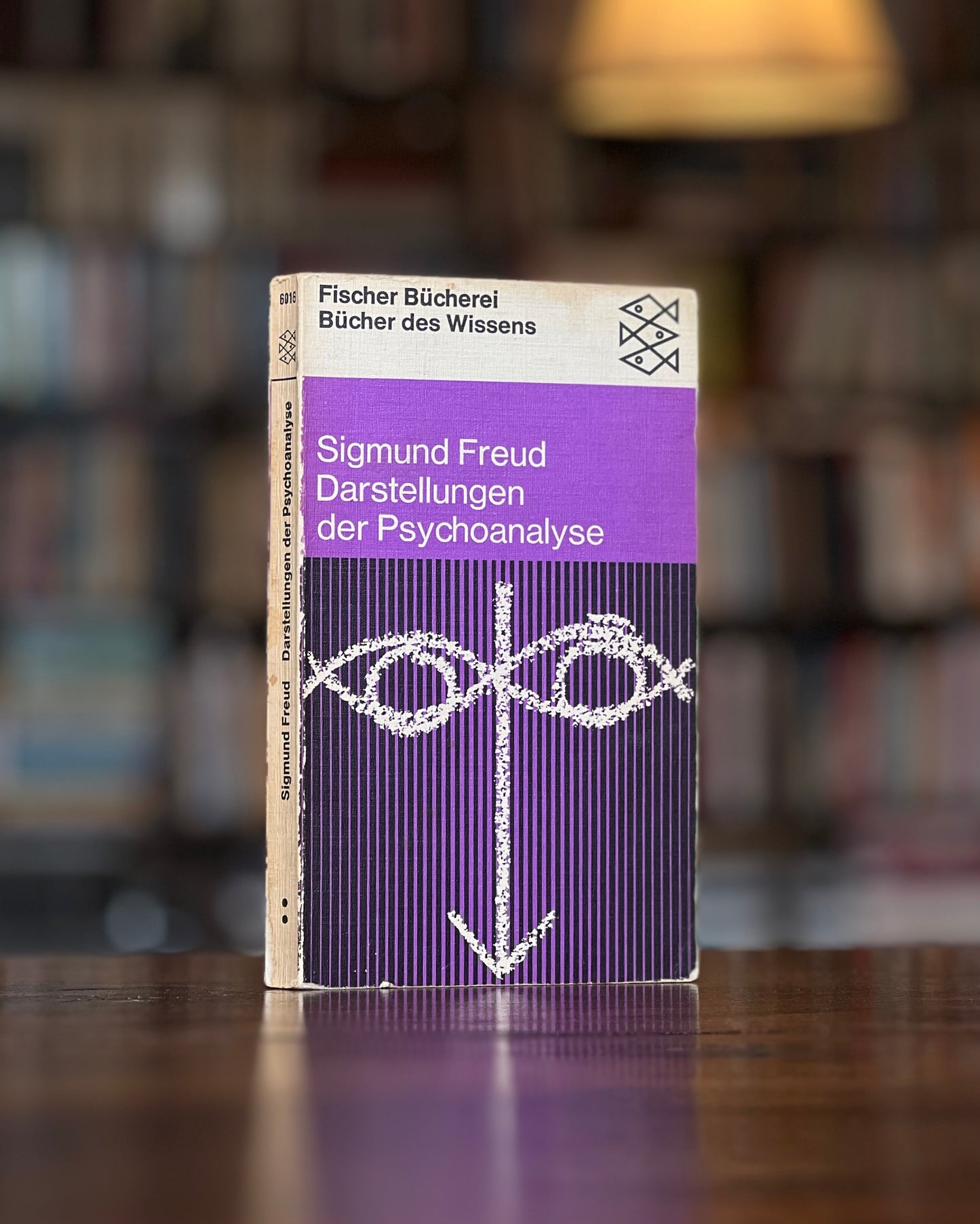 Darstellungen der Psychoanalyse, Sigmund Freud
