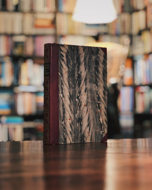 Aus meinem Leben, Paul von Hindenburg (Vorzugsausgabe mit 3 beigelegten Karten)