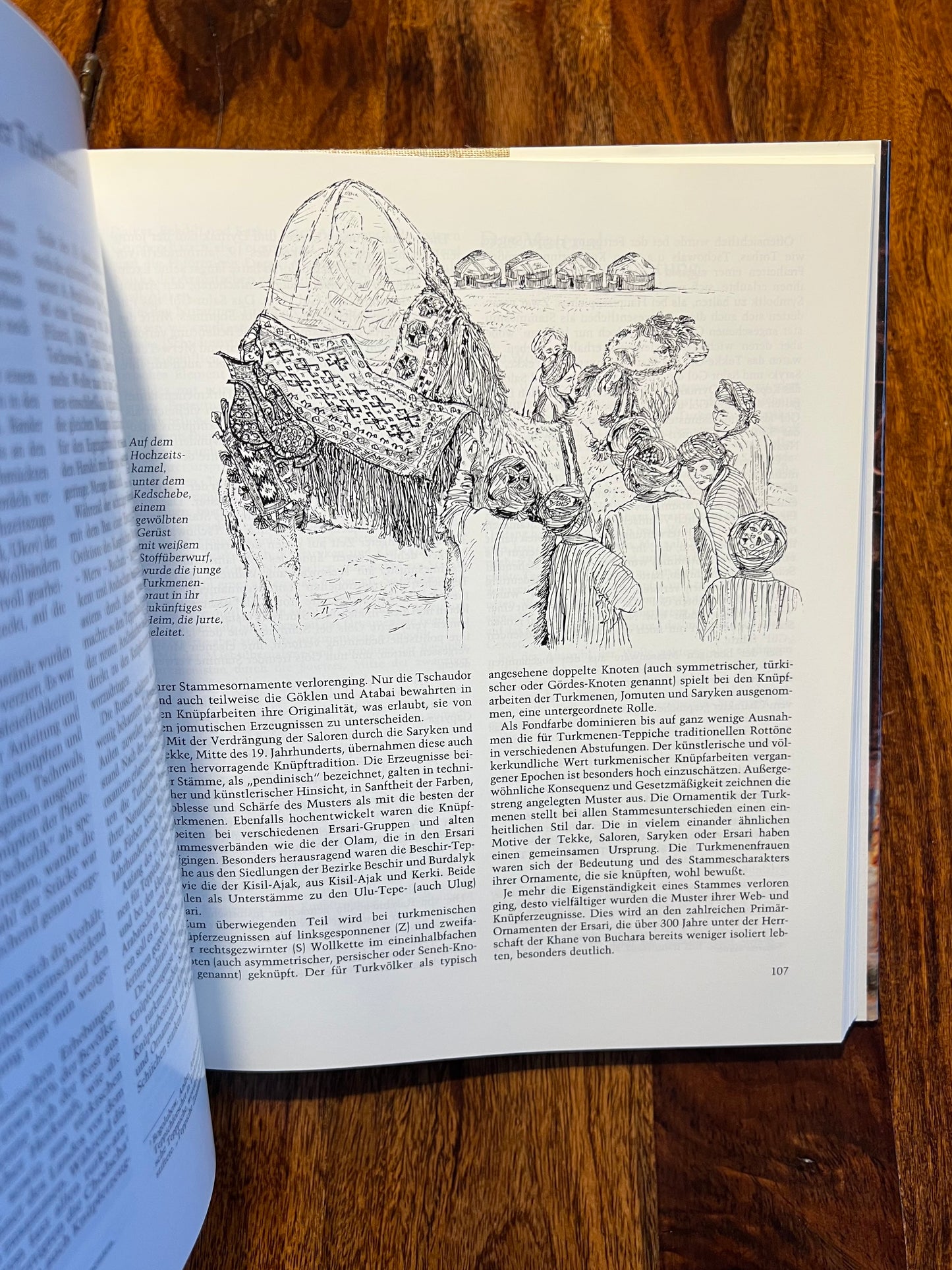 Turkestan - Geschichte, Kultur, Volkskunst, Teppiche - Helmut Klieber