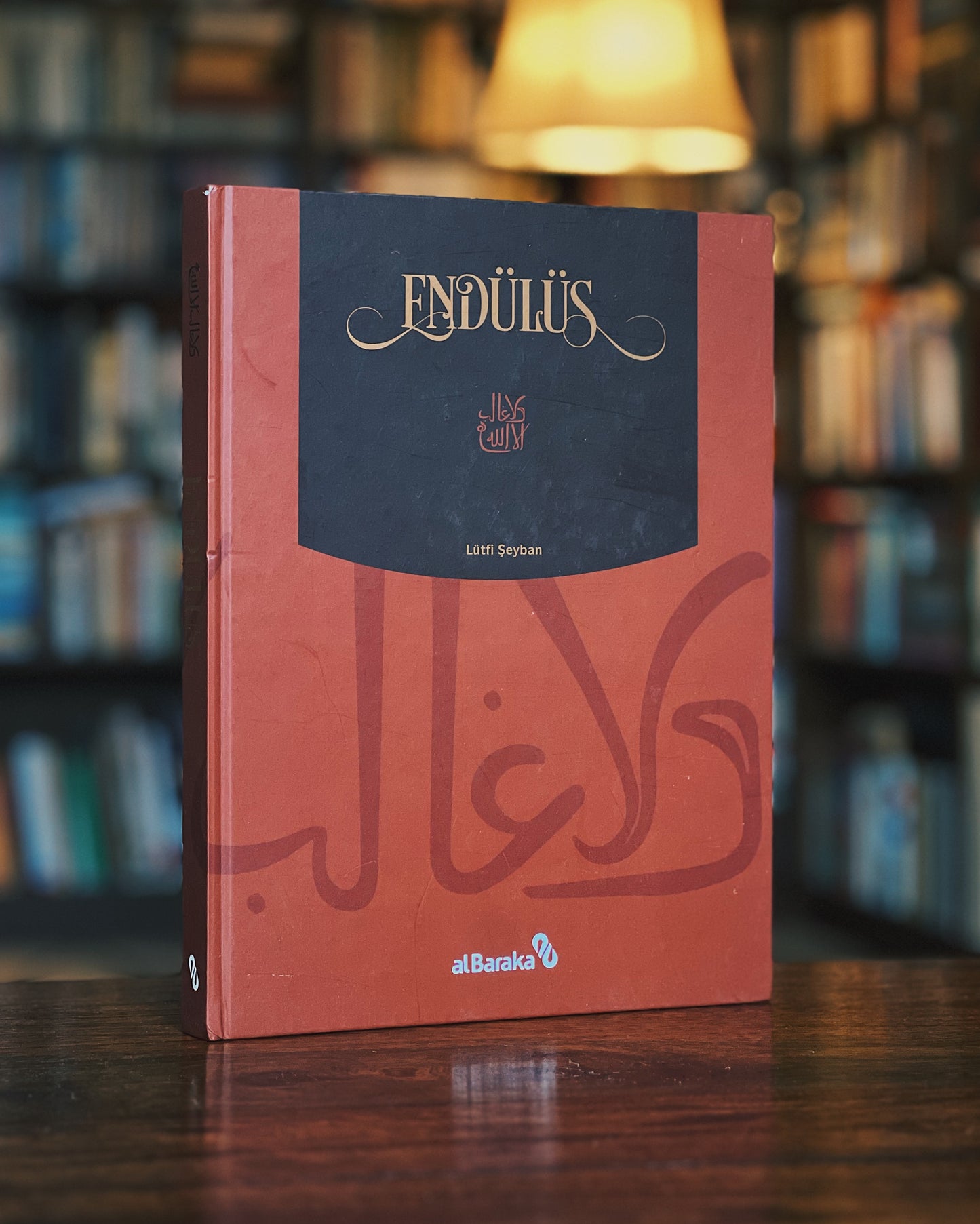 Endülüs, Lütfi Şeyban