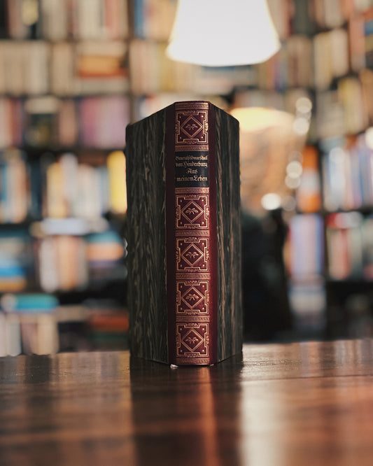 Aus meinem Leben, Paul von Hindenburg (Vorzugsausgabe mit 3 beigelegten Karten)