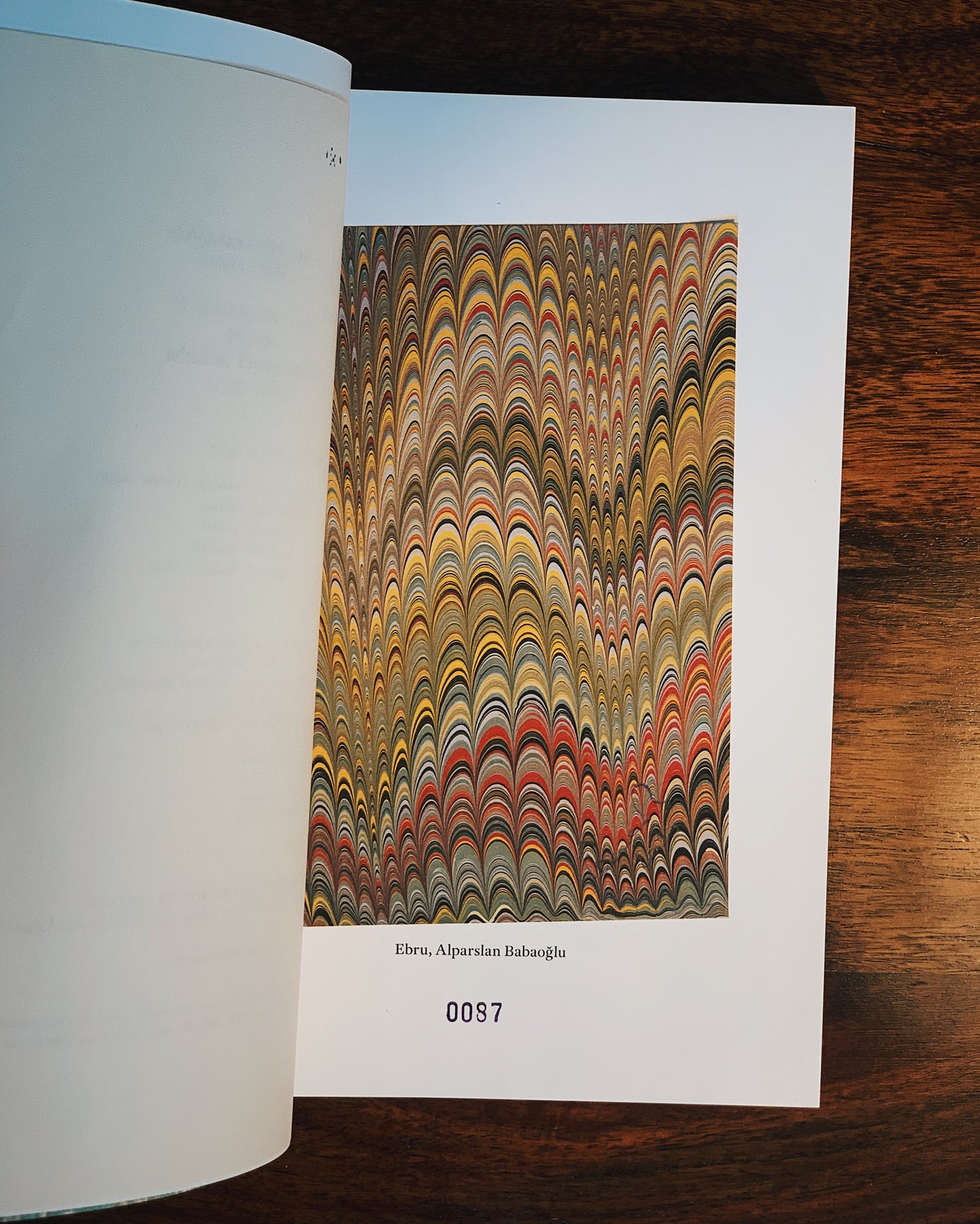 Hocam Mustafa Düzgünmüş (1920-1990), T. Alparslan Babaoğlu (Alparslan Babaoğlu’nun eseri bir Ebrû ile)