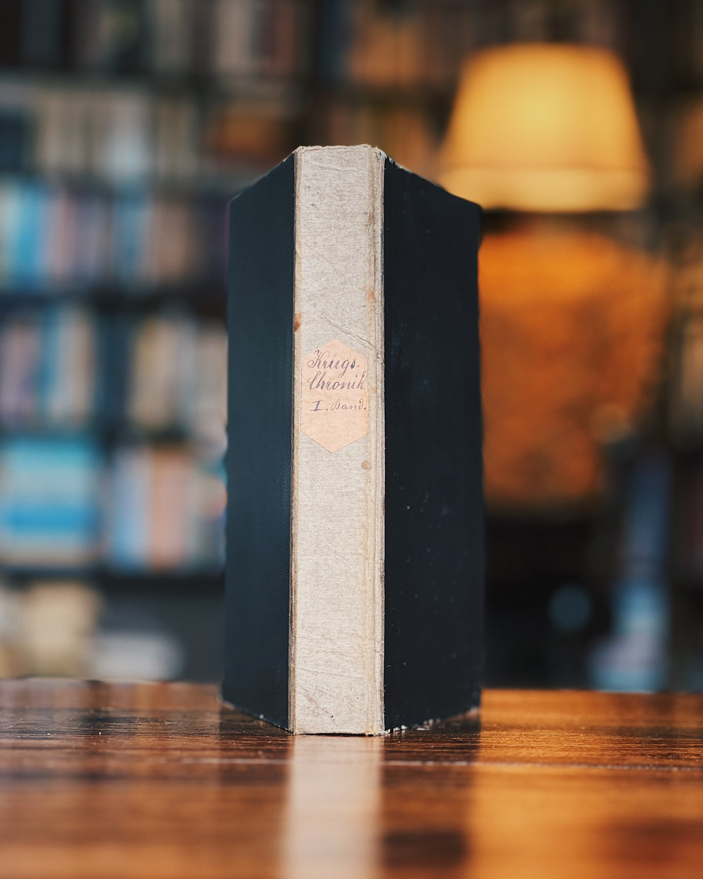 Illustrierte Kriegs-Chronik des russisch-türkischen Feldzuges 1877 1.Band, Franz Lubojatzky